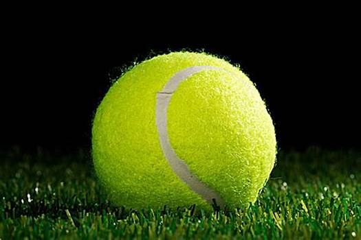 个篮板和 个篮板和