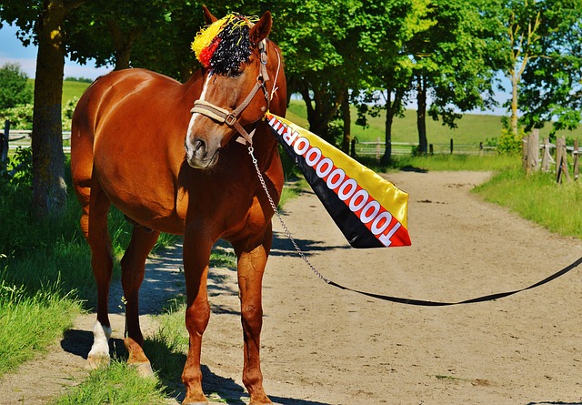 积蓄力量 积蓄力量